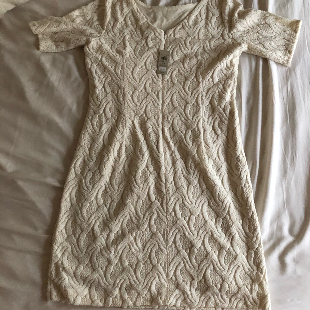 Any Taylor Dress NWT